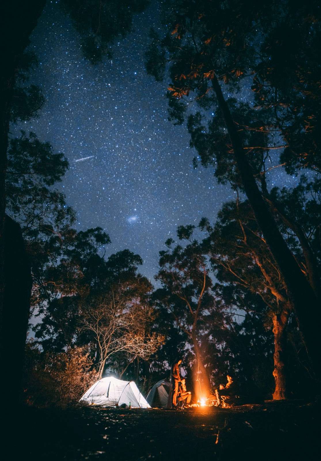 Stars, Silence & Zero Notifications