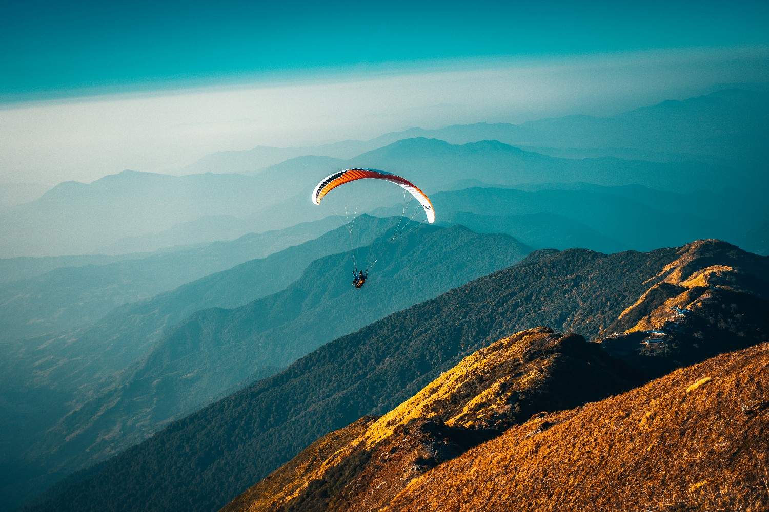 Fly Like You Mean It